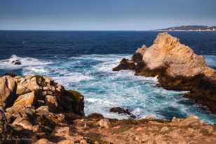 Point Lobos-9916.jpg Point Lobos-9916.jpg